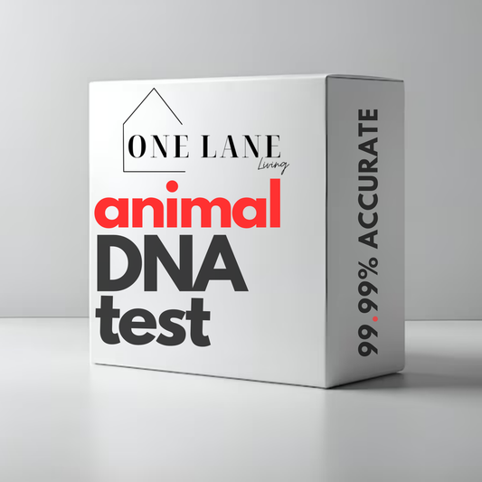 Animal DNA Test